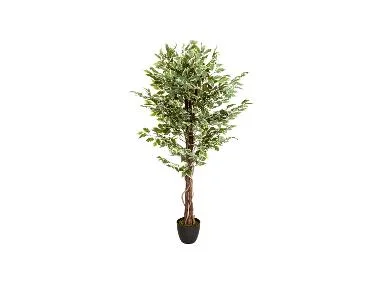 hjh OFFICE Kunstplant Ficus